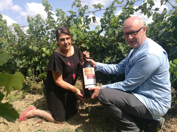 进口红酒代理如何选择羞羞视频免费视频？