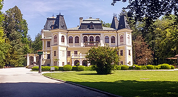 羞羞羞视频网站红酒简介