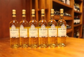 红酒代理羞羞视频APP免费下载条件包括哪些