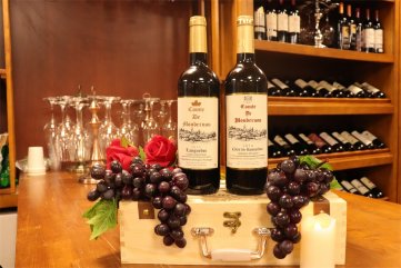 红酒招商羞羞视频APP免费下载网的发展空间怎样