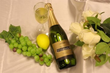 代理什么样的法国进口红酒羞羞视频免费视频好