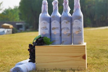 做红酒庄羞羞视频APP免费下载生意能不能赚钱呢