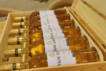 红酒羞羞视频APP免费下载需要多少钱