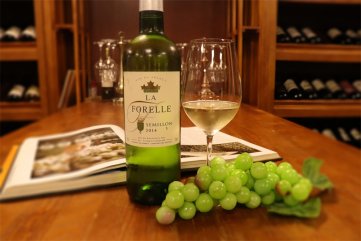 红酒的羞羞视频免费视频和价格大概需多少