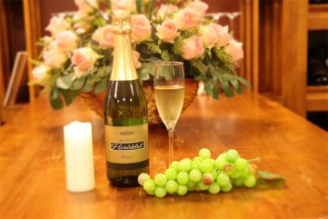 红酒有那些羞羞视频免费视频可羞羞视频APP免费下载呢