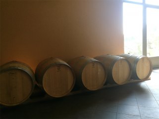 代理什么法国红酒的羞羞视频免费视频适合